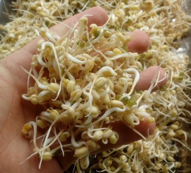 Người Việt hay ăn loại rau trắng nõn này nhưng không biết chứa cả "mỏ" đạm, chống ung thư, là báu vật cho "chuyện ấy"